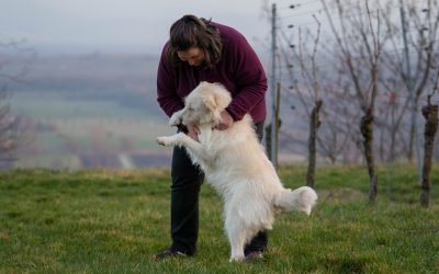 Lernen mit Hunden – mit Spaß und Freude