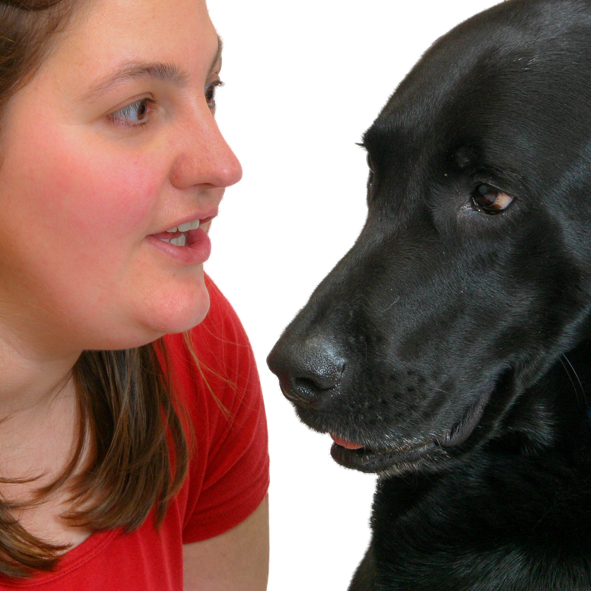 Frau spricht mit Hund - gemeinsame Sprache Mensch Hund