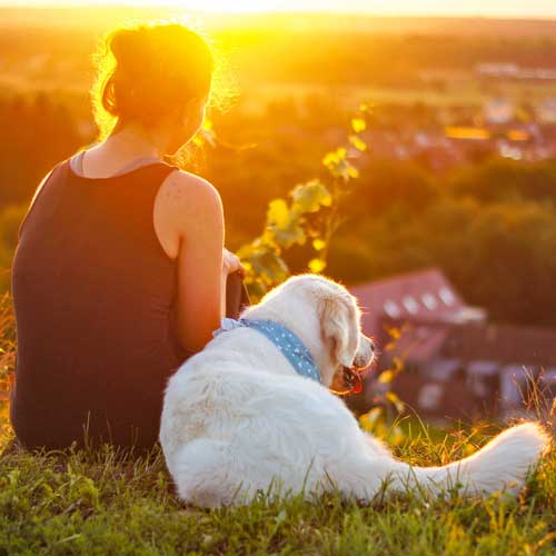 Septemberhund - Frau mit Hund im Sonnenuntergang