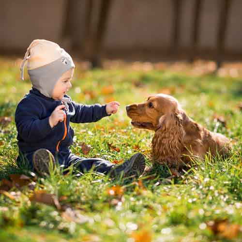 Septemberhund Kind und Hund Kleinkind mit Hund auf der Wiese
