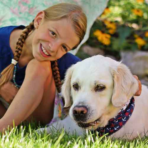 Septemberhund Kind und Hund Ein Mädchen mit Zöpfen sitzt neben Golden Retriever