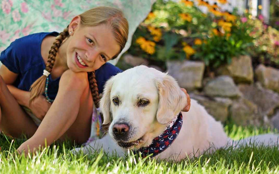 Septemberhund Kind und Hund Mädchen mit Golden im Garten