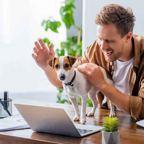 Hundeschule Online - Mann und Hund am Computer