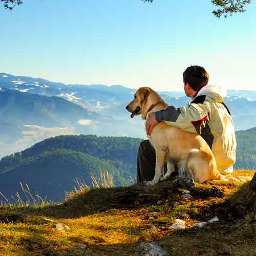 Hundetrainer - Mensch mit Hund in den Bergen