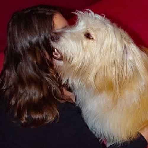 Bedürfnis Bindung - emotionale Nähe - Mensch und Hund kuscheln