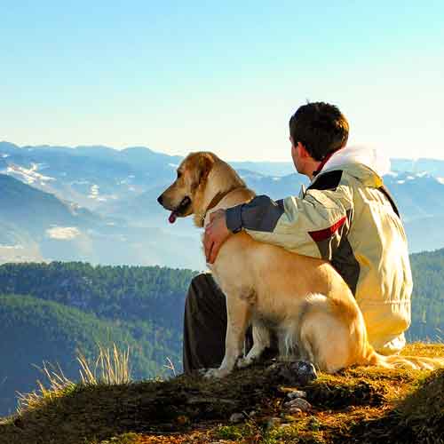 Hund in Alltag - Mensch und Hund in den Bergen