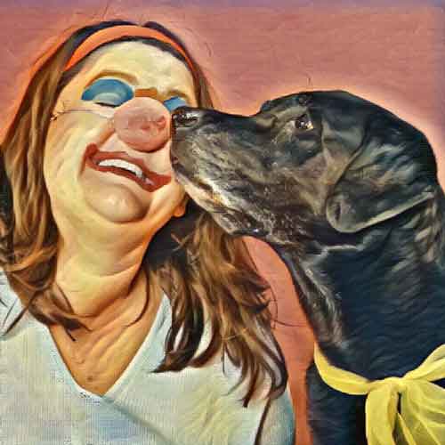 Timing - Labrador lässt Leckerli auf Nase des Menschen liegen