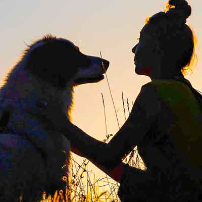 Unsicherheit - Mensch und Hund im Sonnenuntergang